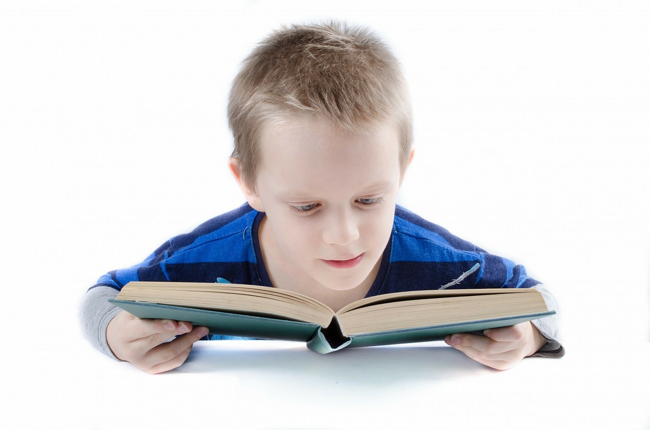 boy reading pixabay read-316507_1280