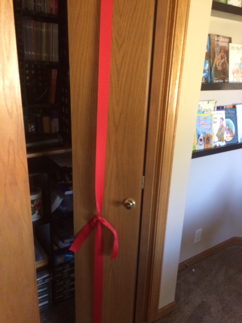 closet door with ribbon knot in front to create a phoneme wall on closet doors