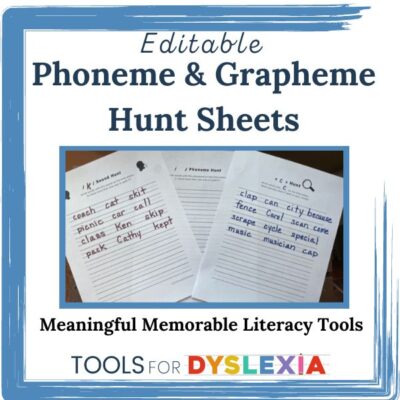 product image of phoneme and grapheme hunts product
