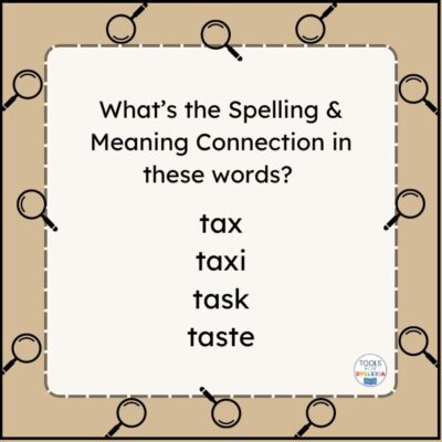 Tax Taxi Task Taste Spelling & Meaning Connections