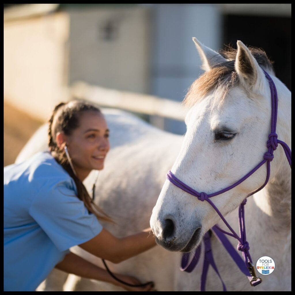 Veteran Veterinarian Vetting surprising relatives image of female vet in blue scrubs listening to a white horse's heartbeat using a stethoscope