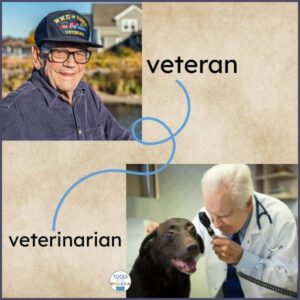 eteran veterinarian image of a veteran and a veterinarian cover photo