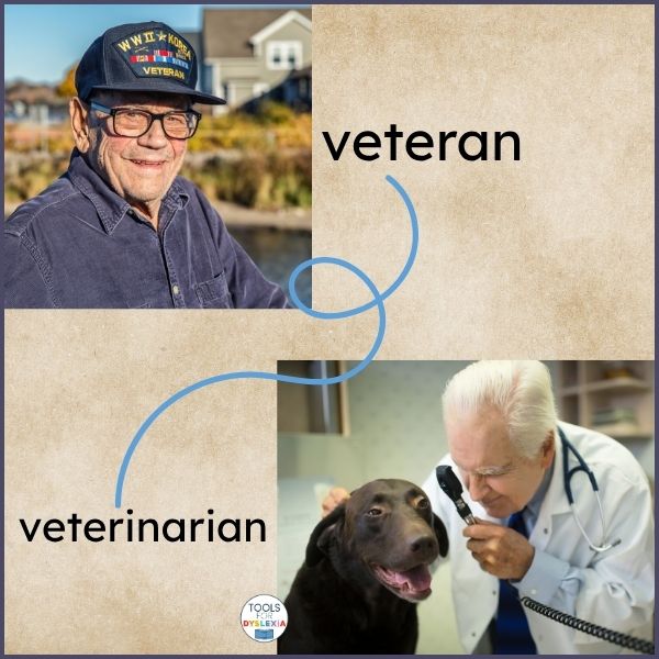 eteran veterinarian image of a veteran and a veterinarian cover photo